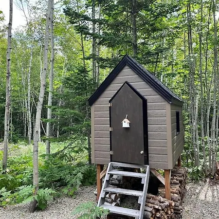 L'Escale De La Martine - Intimite, Spa Et Boise Petite-Riviere-Saint-Francois Exterior photo
